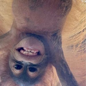 Meet your Posher, Dave